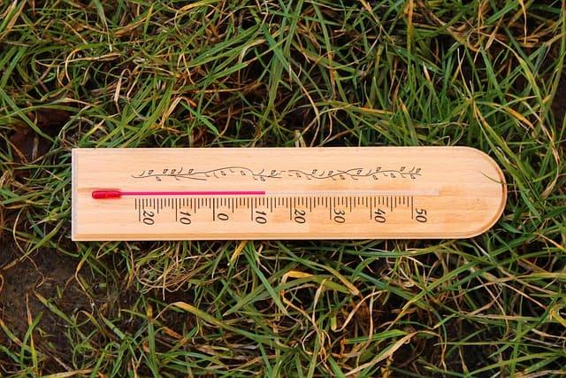 芝生の上に置かれた温度計