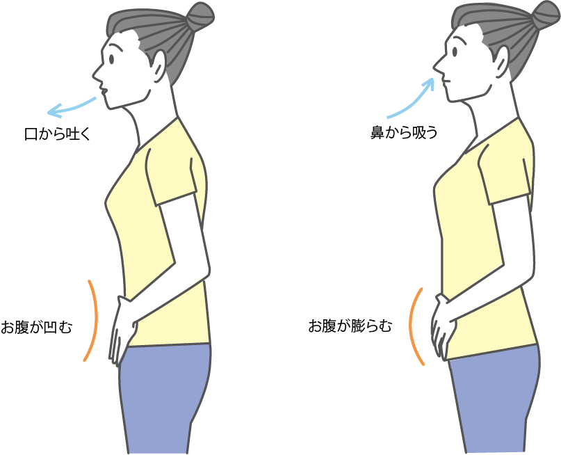 腹式呼吸の図解